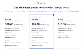Buy Google Voice Accounts